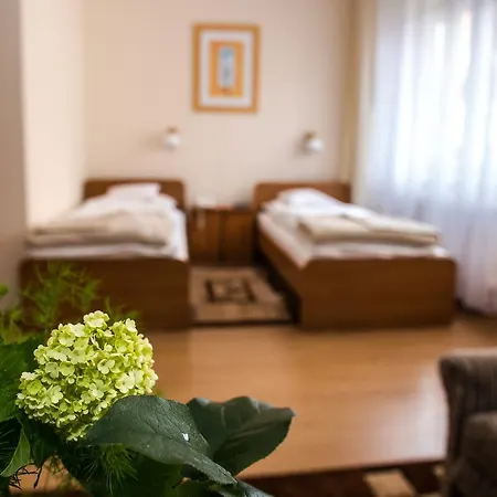 欧罗巴酒店 耶莱尼亚古拉