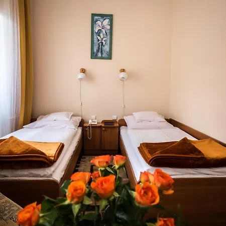 欧罗巴酒店 3* 耶莱尼亚古拉