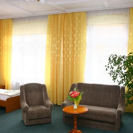 欧罗巴酒店 3* 耶莱尼亚古拉